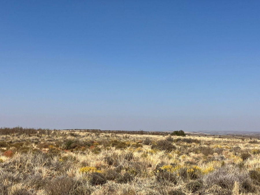 0 Bedroom Property for Sale in Luckhoff Free State